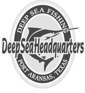 deepsea-footer-logo
