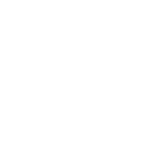 FINS PINEAPPLE ICON